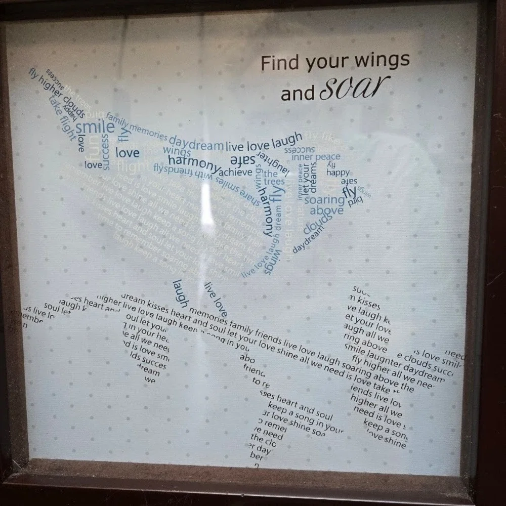 2 Framed Inspirational Word‎ Art Pictures Bird Theme Find Your Wings Enjoy Life